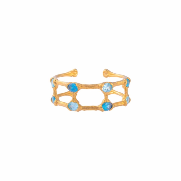 Bones of Eternity with Azure Stones Bangle