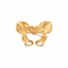 Pelvic Passion Brooch